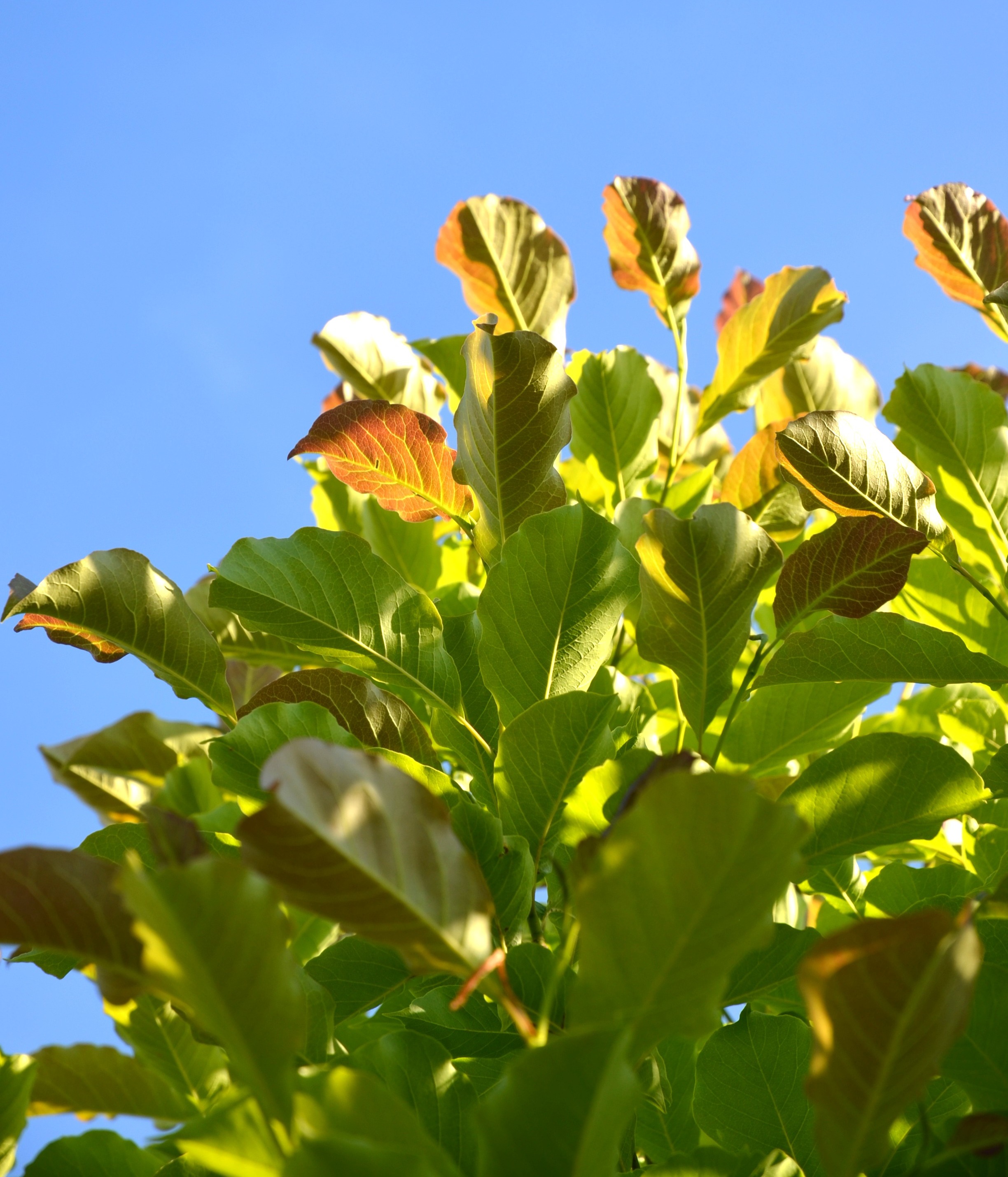 Sonderangebote/Einzelexemplare
